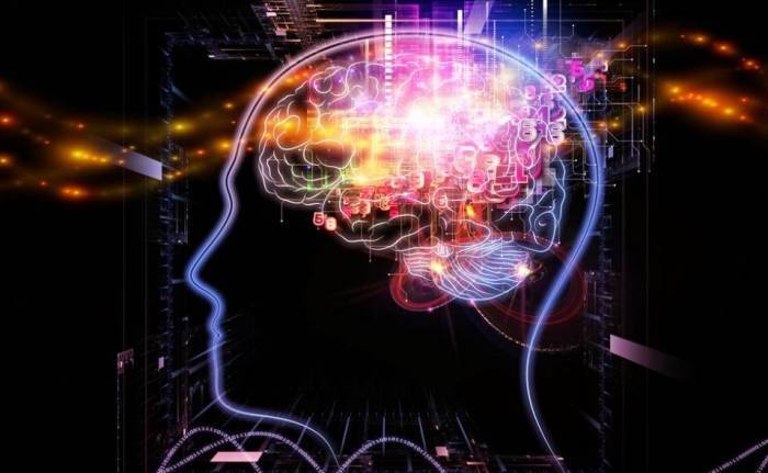 brain power